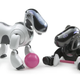 What a dog looks like in Warframe, probably